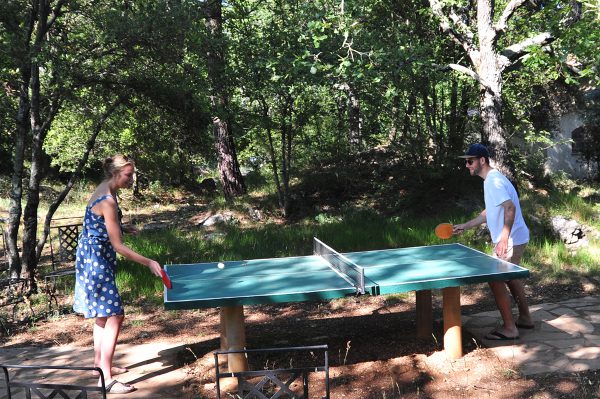 Relaxing-Holiday-at-Bois-dAmont-Table-Tennis