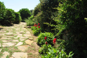 Grasse-Hotel-Garden