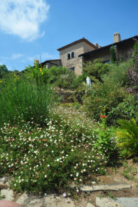 Holiday-Apartments-Provence-View-From-Garden